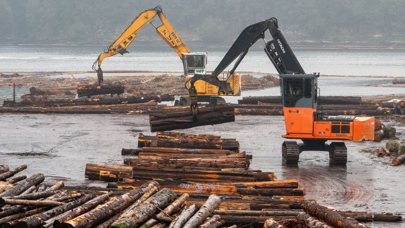 “Trump’s New Action: Investigation into Lumber Imports Sparks Potential Tariff Hike”