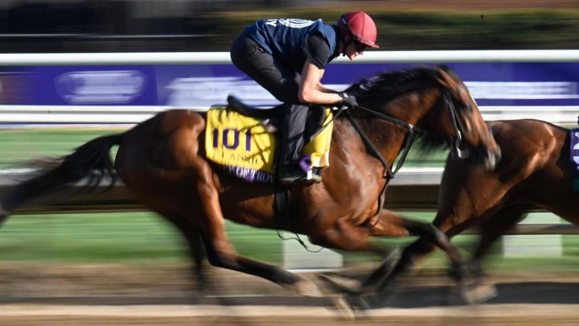 Kentucky Derby 2025 Odds, Post Positions & Expert Picks: Journalism, Rodriguez, Sandman Predictions