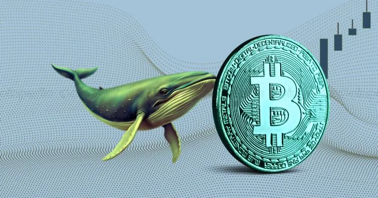 Brown University Invests $5M in BlackRock’s Bitcoin ETF (IBIT) as AI-Driven Market Recovery Boosts BTC
