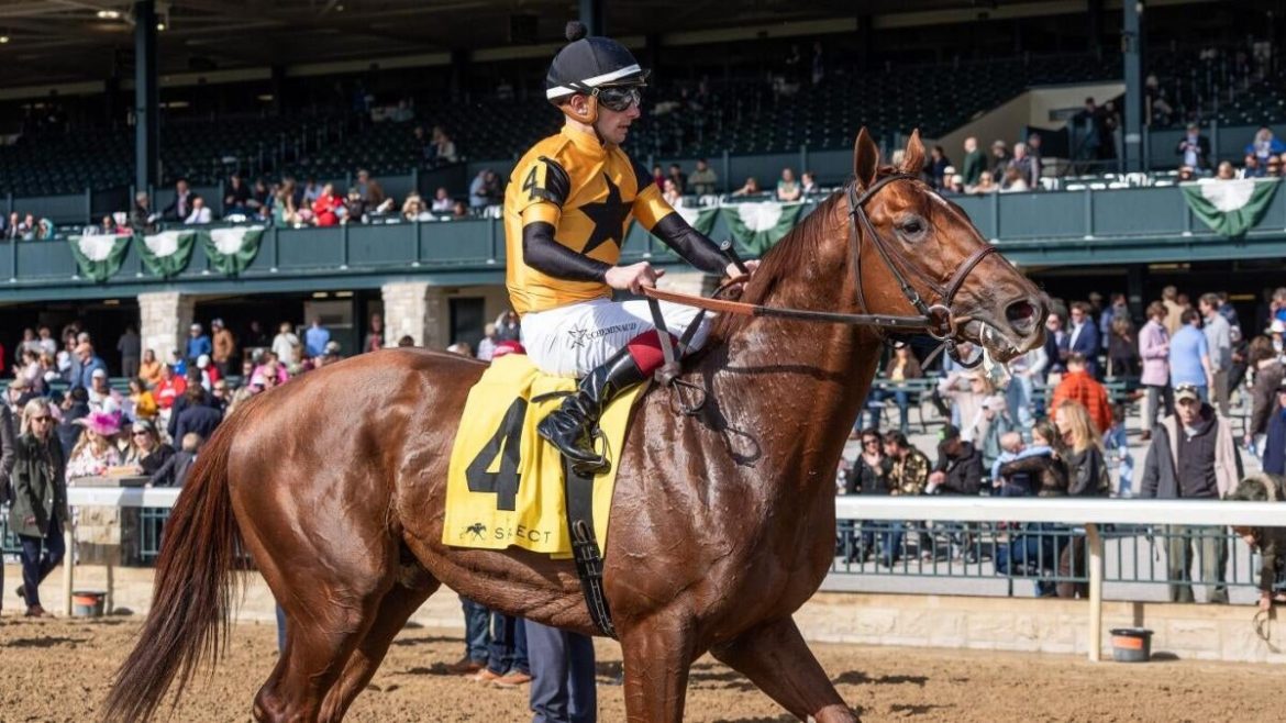 2025 Kentucky Derby: Expert Predictions, Dark Horses, and Winning Odds You Can’t Miss