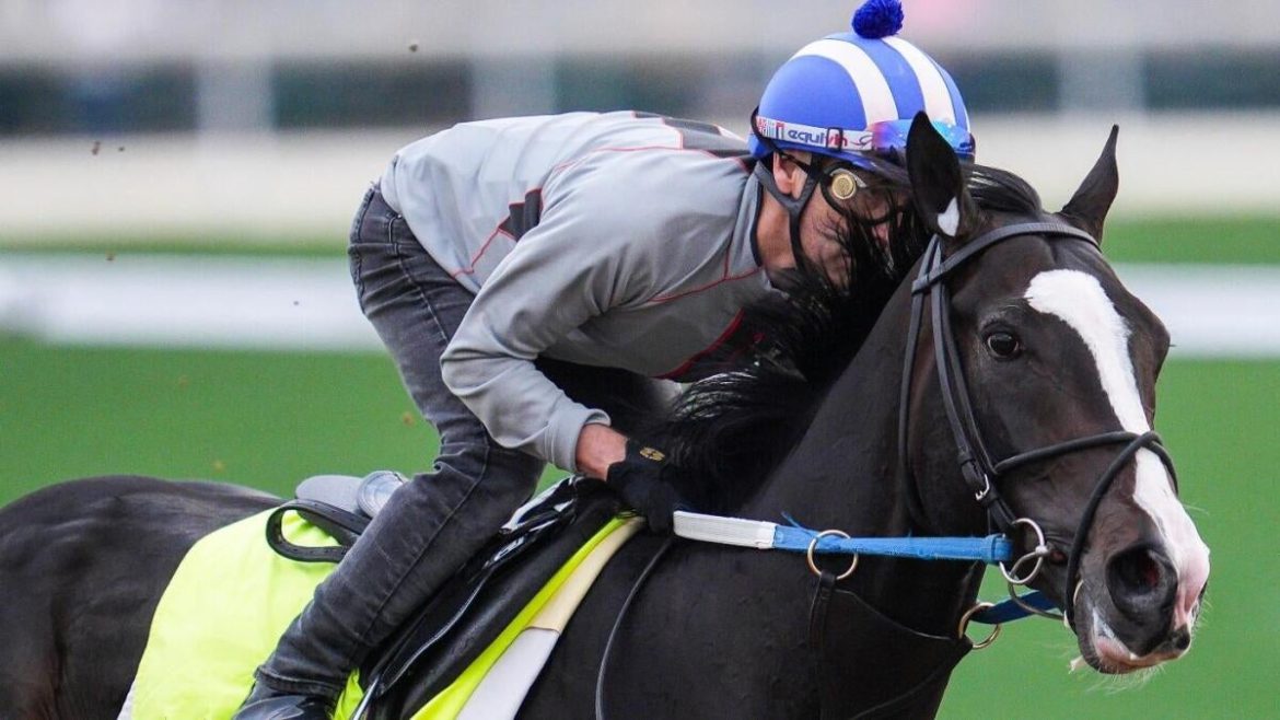 Top Kentucky Derby 2025 Betting Promos: Best Bonuses & Bonus Codes to Boost Your Wager