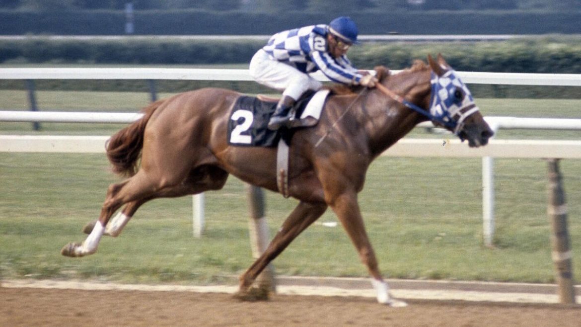 Every 2025 Kentucky Derby Horse Traces Lineage to Legendary Secretariat