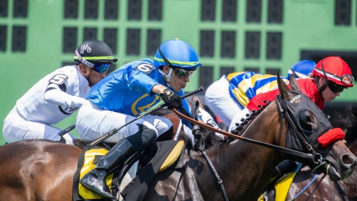 2025 Kentucky Derby Preview: Expert Who Hit 11 Derby-Oaks Doubles Reveals Top Picks, Odds & Futures