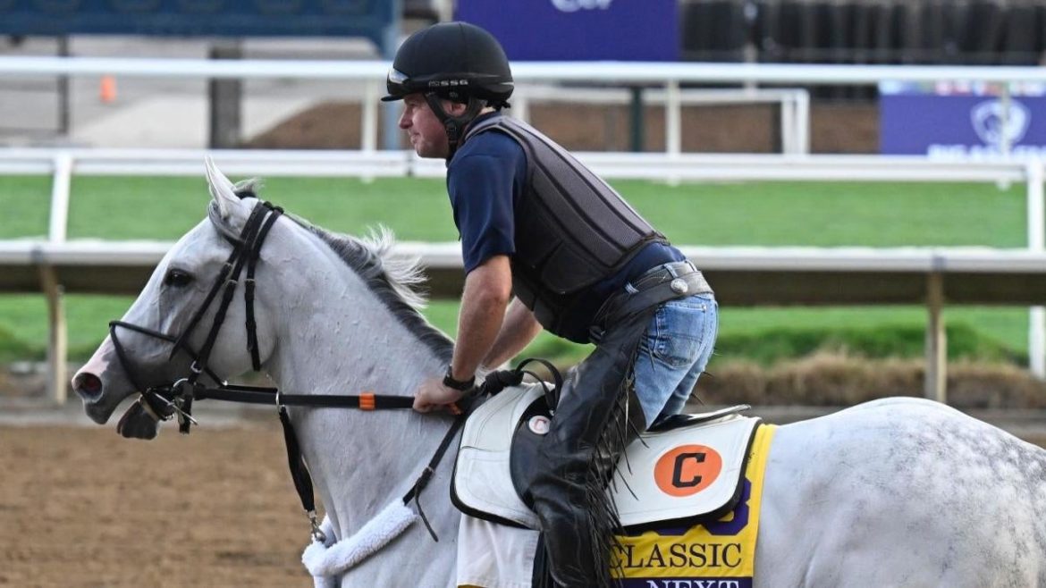 2025 Preakness Stakes: Expert Picks, Odds, and Futures – 10 of 20 Winners Predicted Correctly