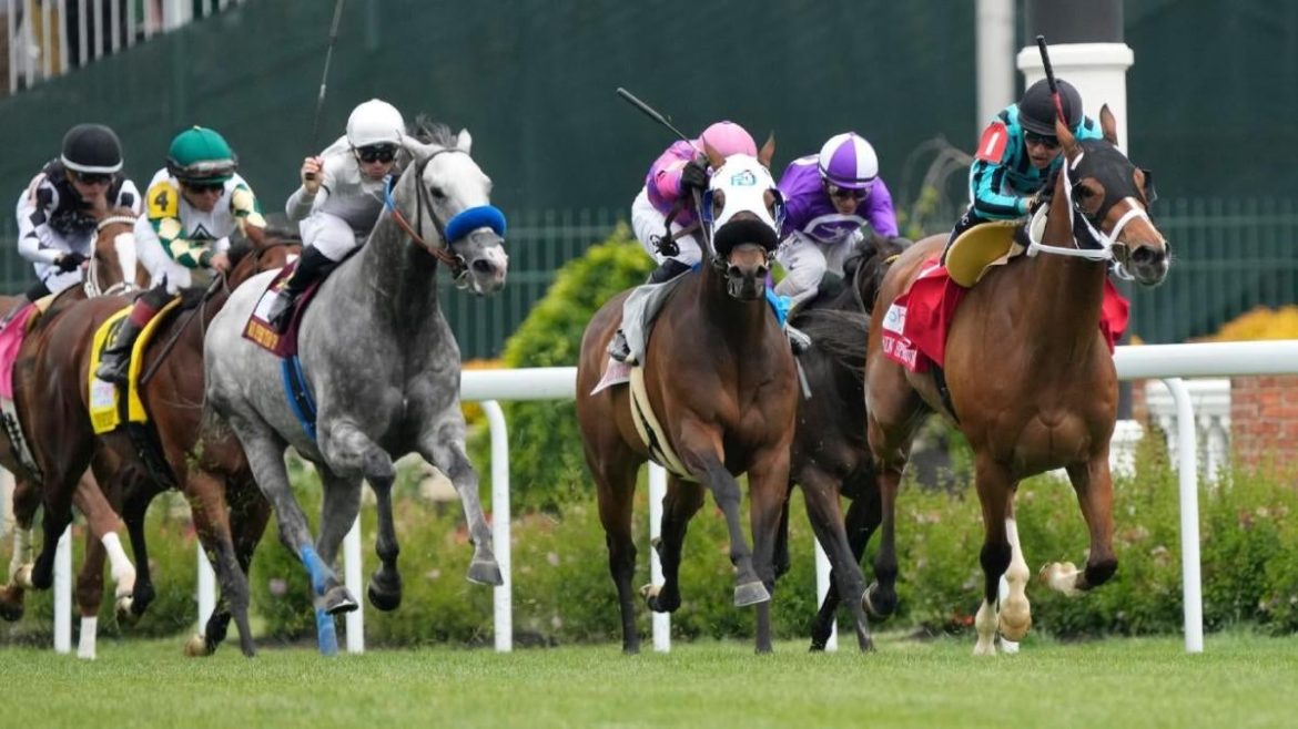 Preakness Stakes 2025: Expert Predictions for Sovereignty, Clever Again, and Journalism