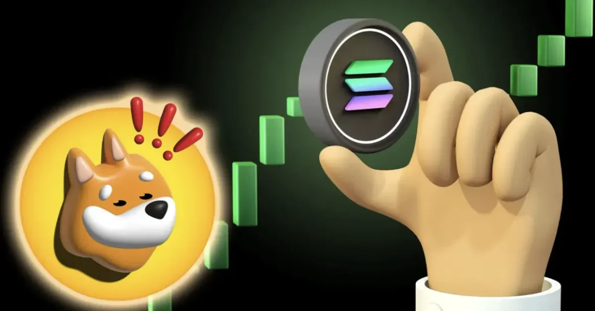 Bonk Meme and DeFi Development Corp Team Up to Operate a Solana (SOL) Validator