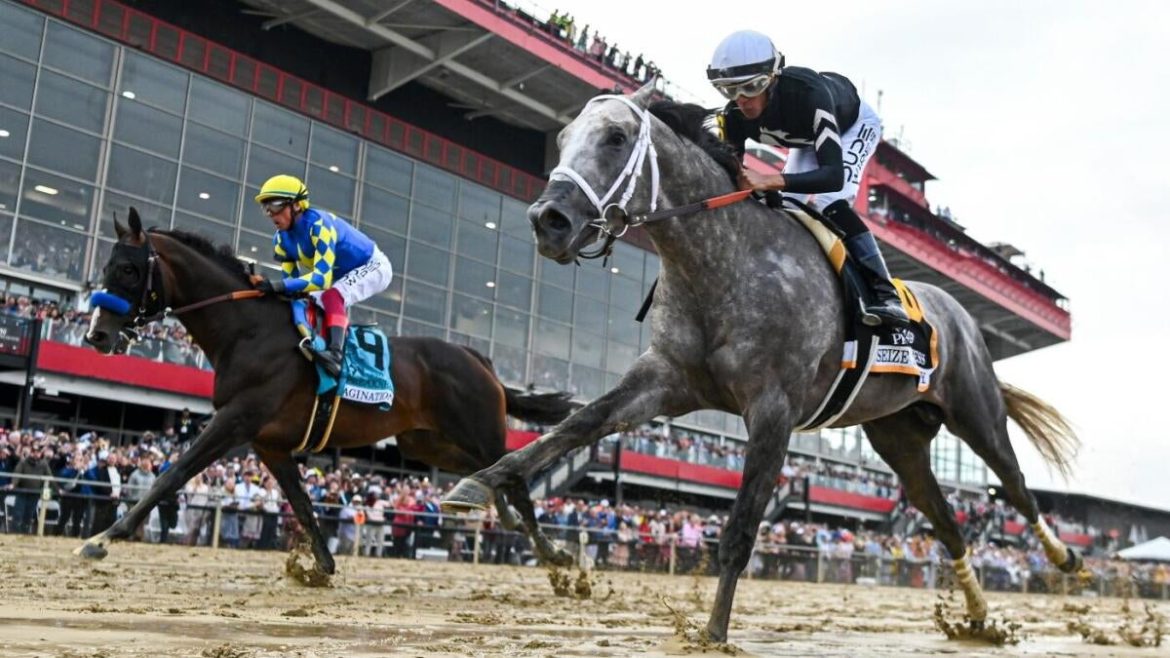 2025 Preakness Stakes: Expert AI Predictions, Odds, and Surprising Horse Picks