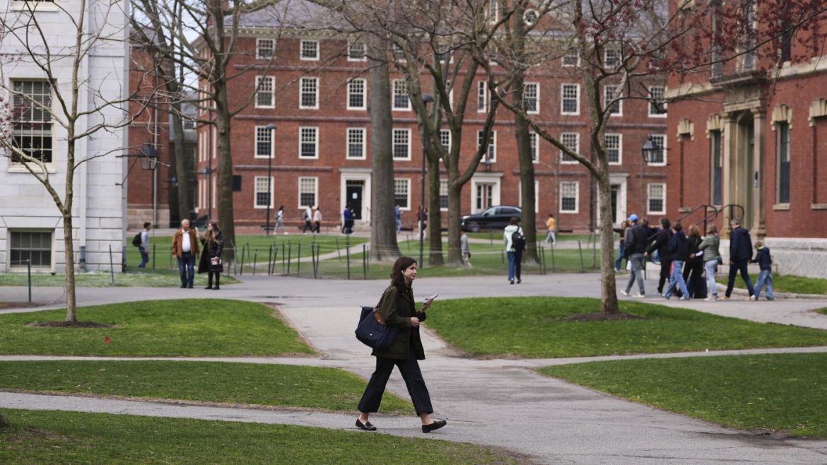 Harvard’s President Criticizes Trump Amid Rising DEI Job Cuts