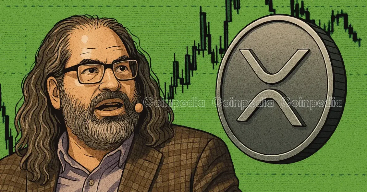 Ripple CTO Clarifies the Truth About XRP’s Centralization Debate