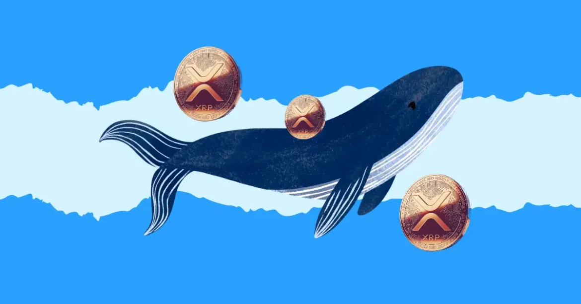 VivoPower Secures $121M to Pioneer as First XRP Treasury-Focused Public Company