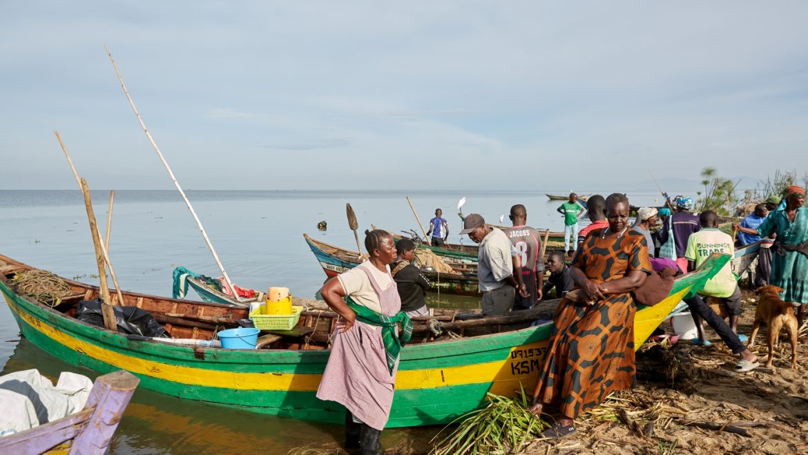 Surviving Precariously: The Resilience of the Women of No Sex for Fish