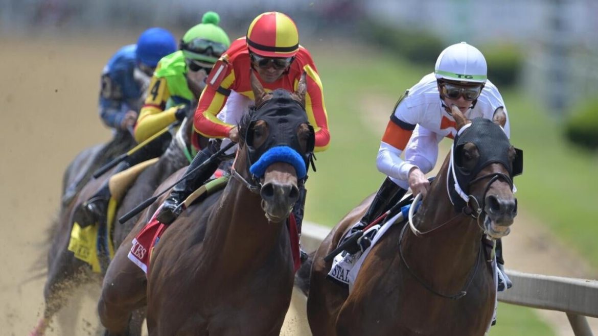 2025 Belmont Stakes: Expert Predictions and Picks for Horses, Odds, and Entries