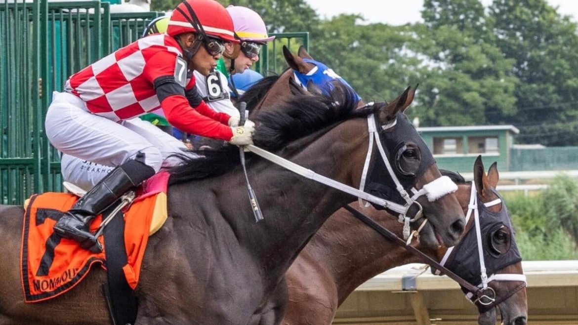 2025 Belmont Stakes: Expert Predictions and Odds for Top Horses