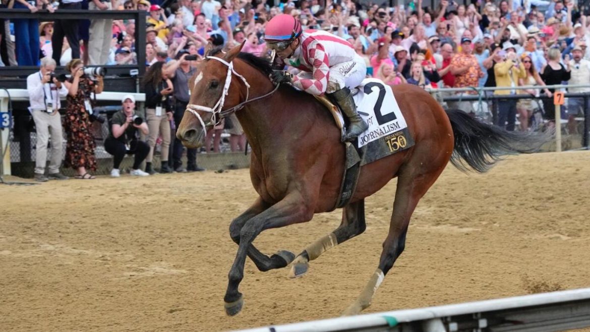 2025 Belmont Stakes: Horses, Odds, Entries & Expert Predictions