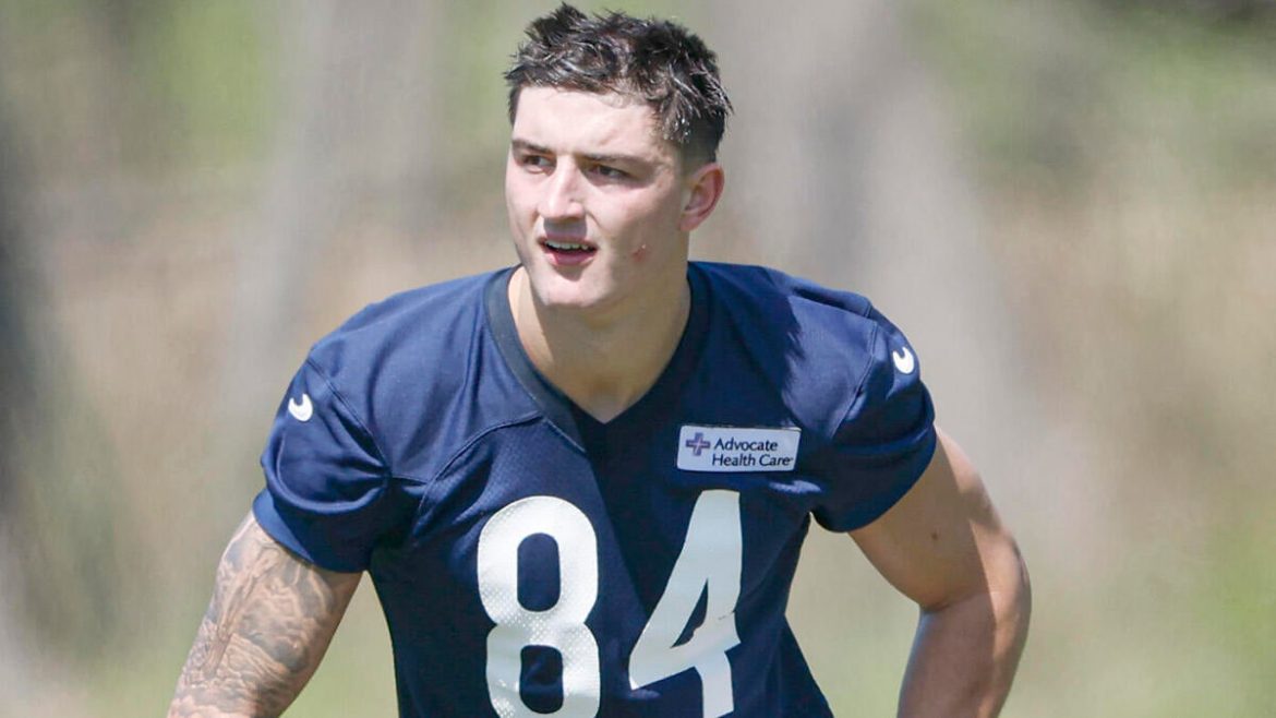 Rookie Tight Ends in Fantasy Football: What History Predicts for Colston Loveland, Tyler Warren, and Others in Year One