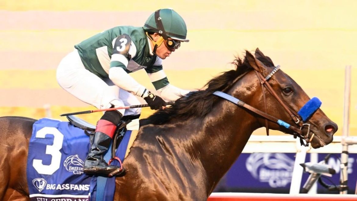 2025 Belmont Stakes Sleepers: Top Longshot Picks and Free Odds Analysis at Saratoga