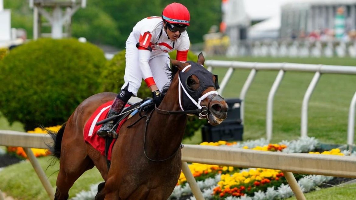 2025 Belmont Stakes: Expert Predictions, Horses, Odds & Entries