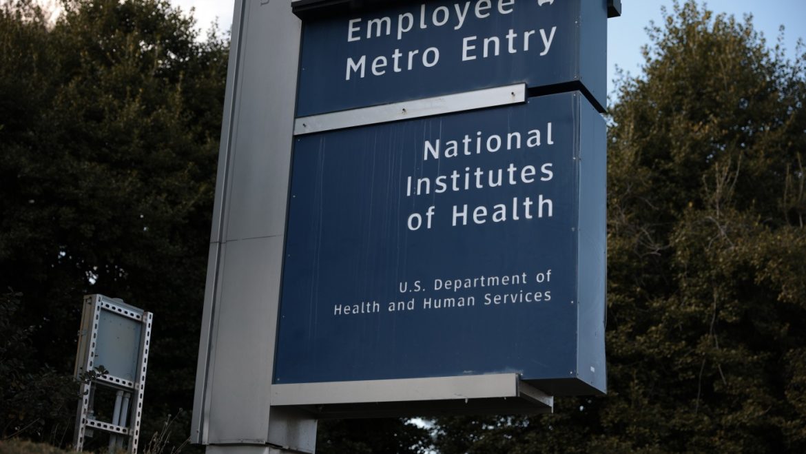NIH Scientists Urge Director to Safeguard Biomedical Research Amid AI Revolution