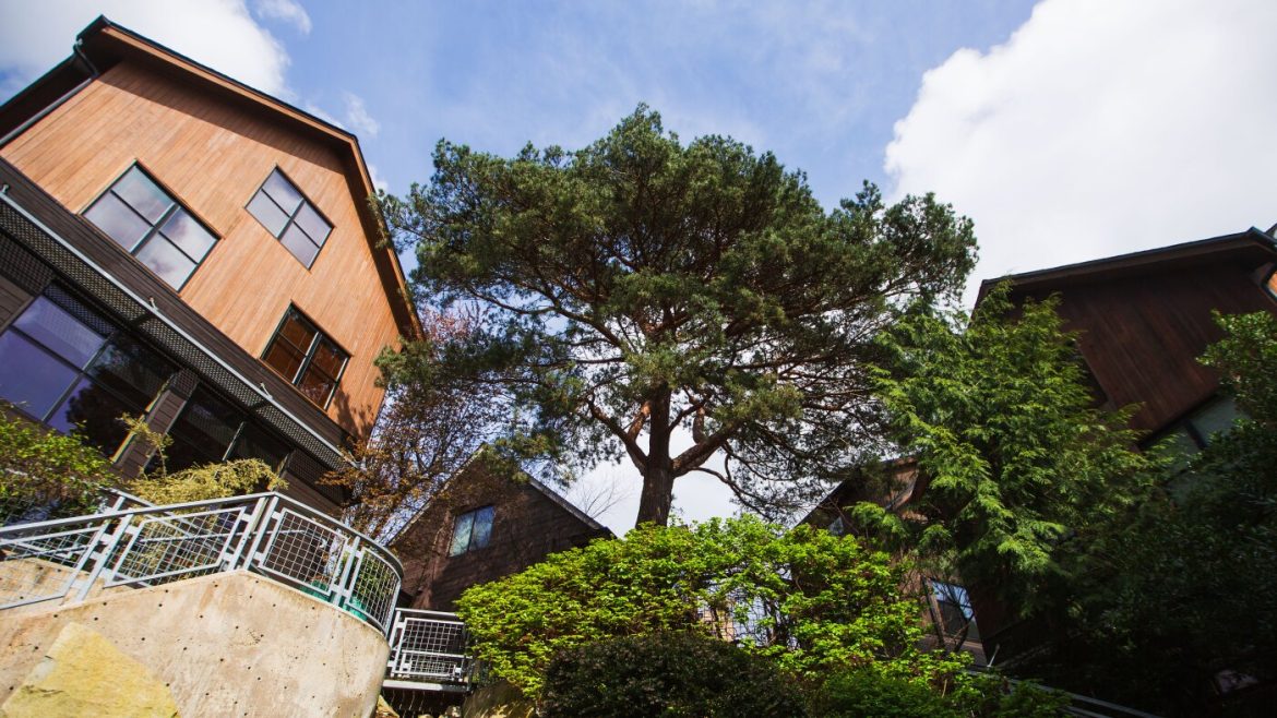Balancing Tree Preservation and Housing Growth: Seattle’s Climate Strategy