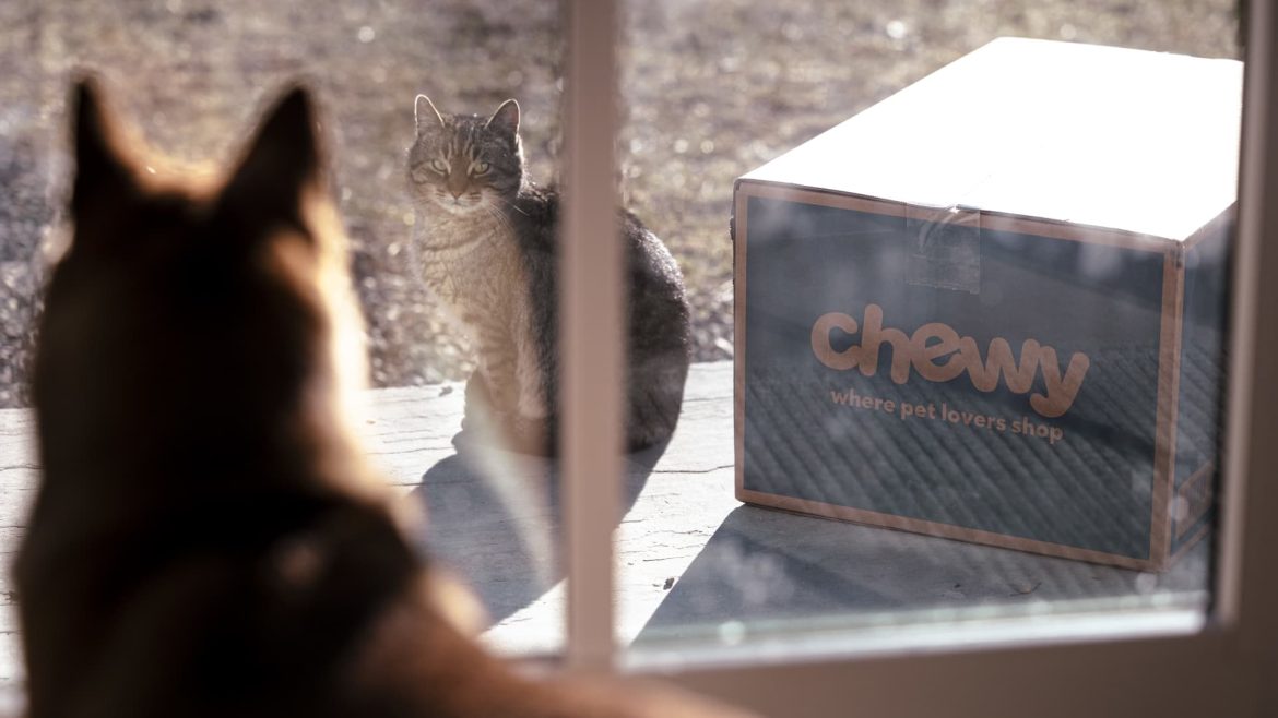 Biggest Midday Stock Movers: Oklo, Chewy, Quantum Computing, GitLab, and AI Surge