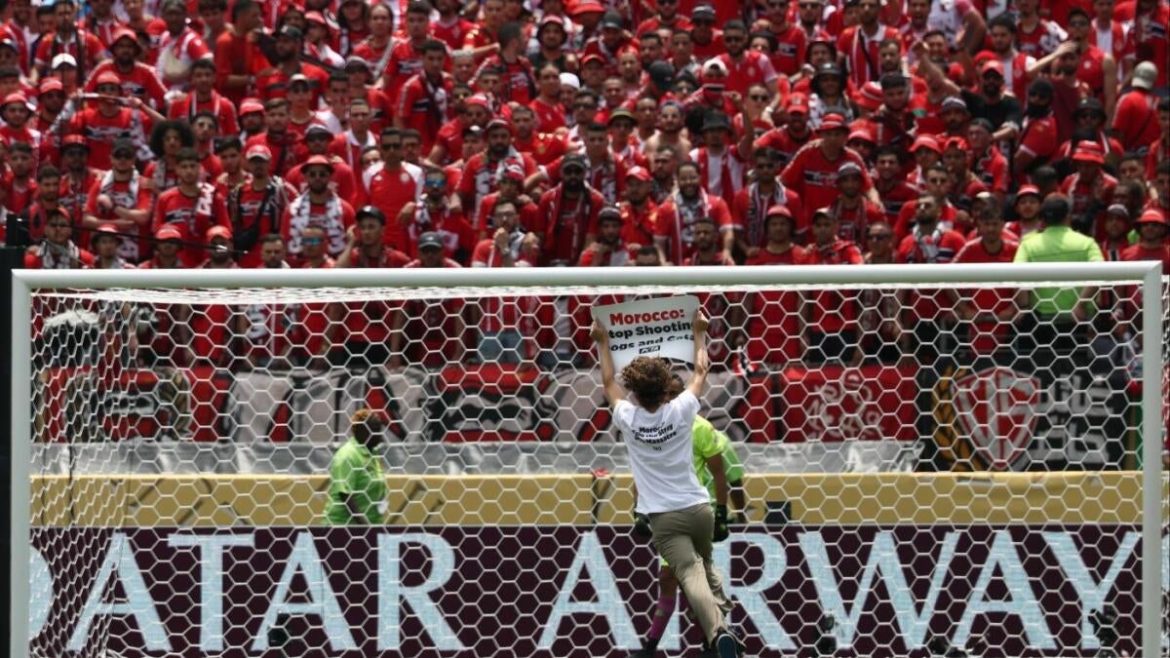 Protesters Disrupt Club World Cup: Spotlight on Morocco’s Stray Animal Crisis