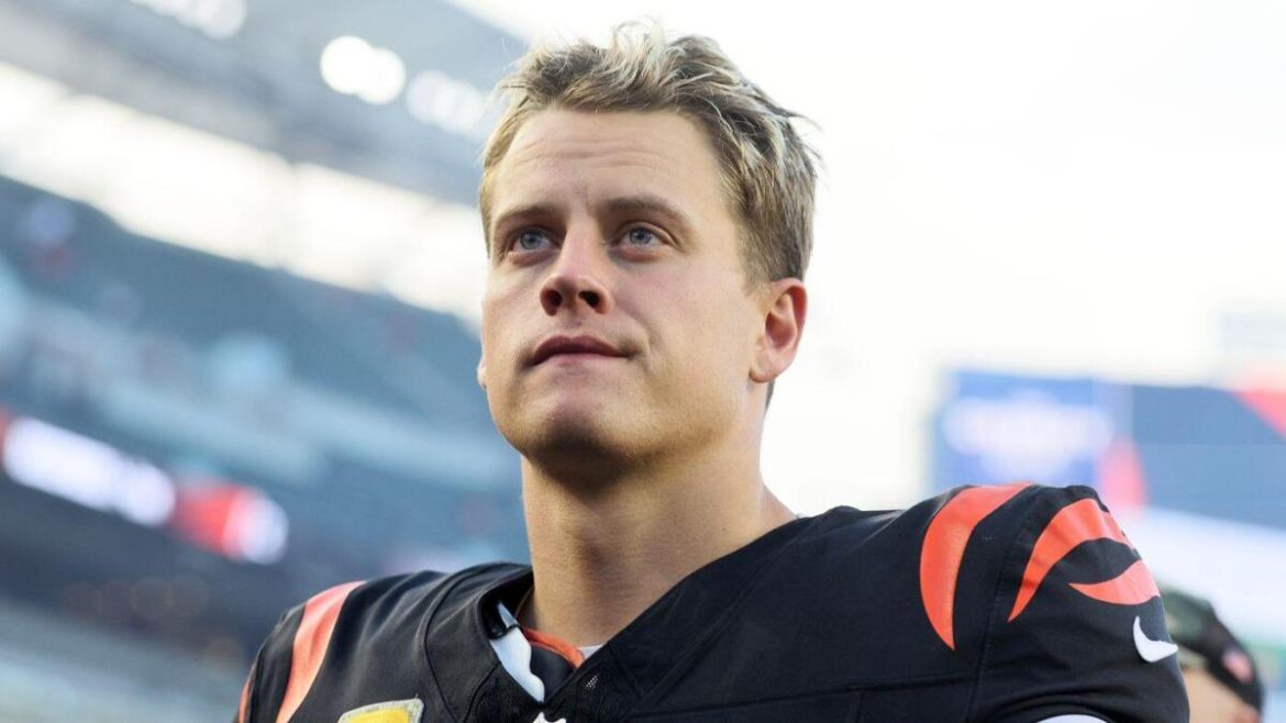 Burrow Abandons Batmobile After Theft