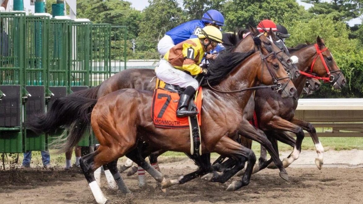 Haskell 2025: Expert Picks & Odds