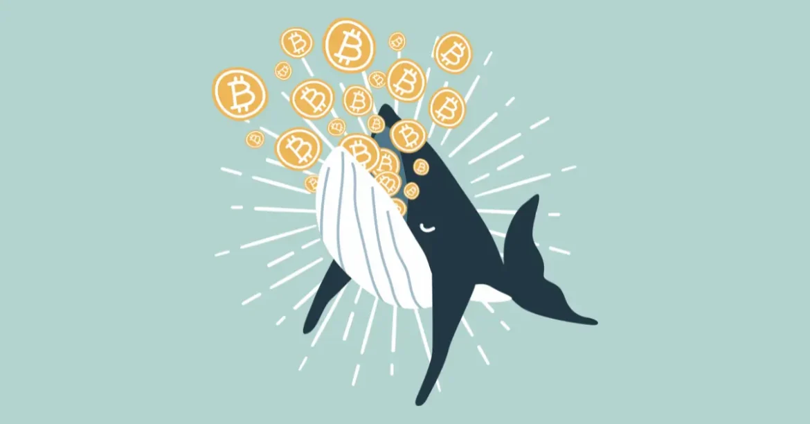 Whale’s $90M Bitcoin Windfall