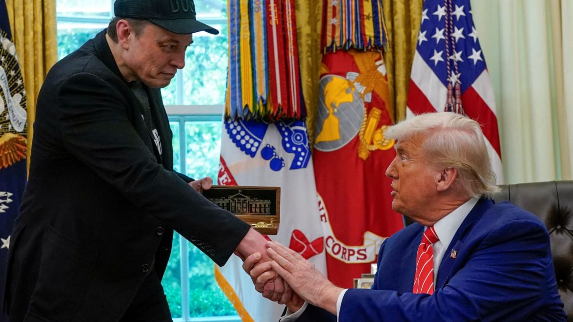 Trump Vows Not to Strip Musk’s Subsidies