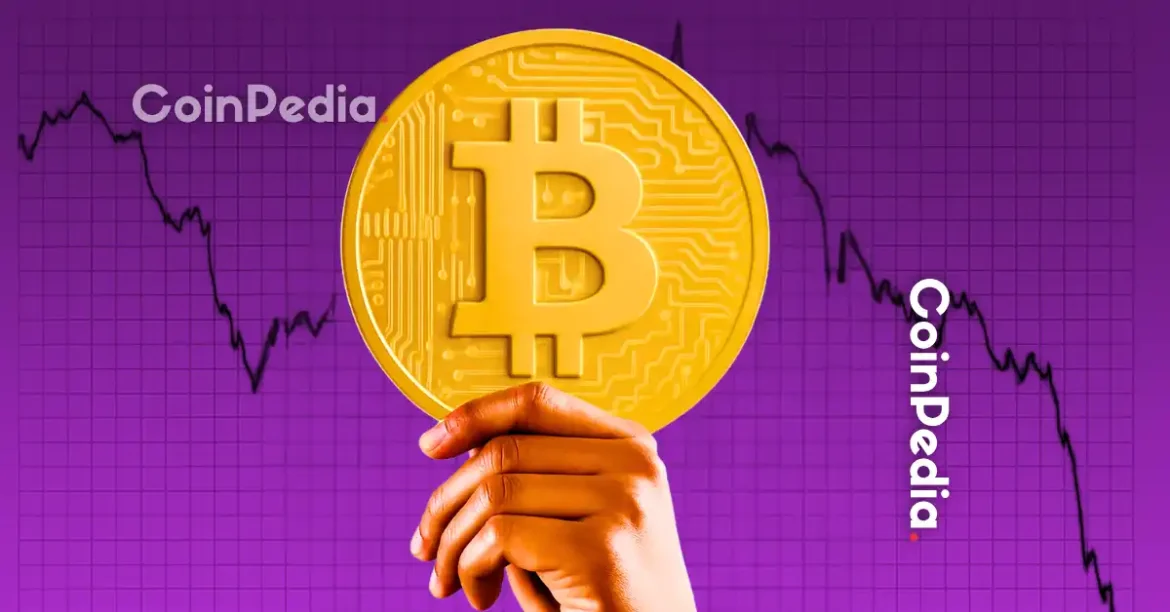 Crypto Surge: Who’s Behind It?