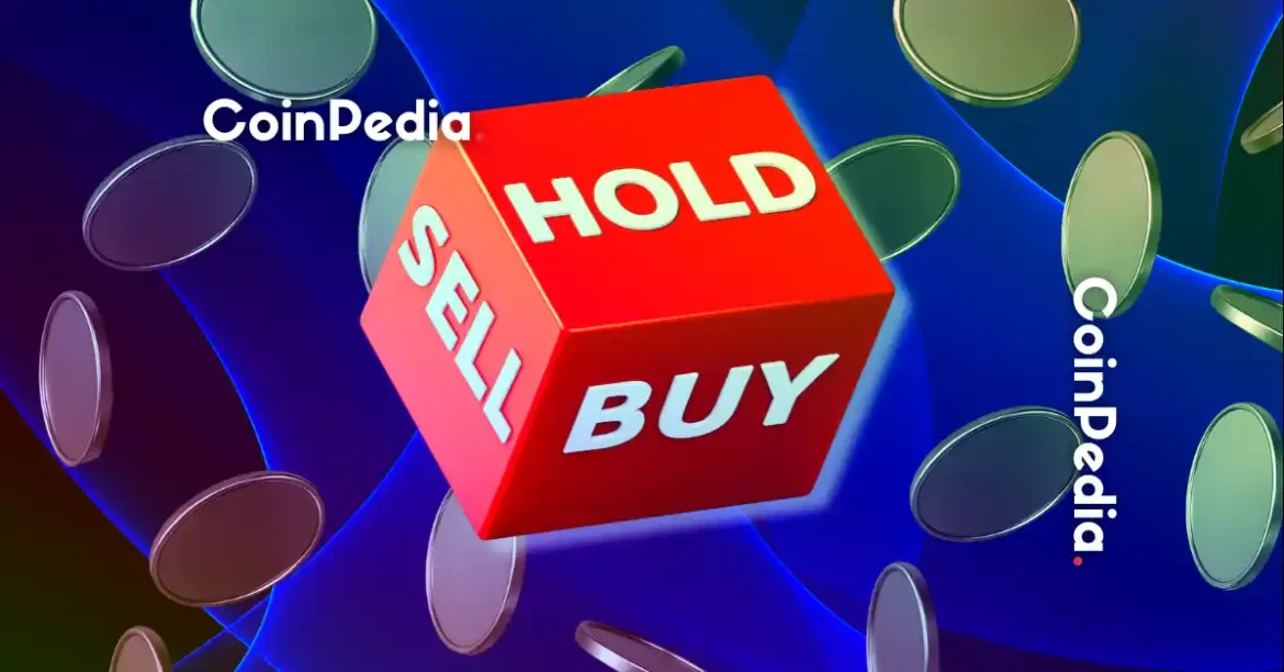 Altcoin Investment Guide: Top 4 Picks for Future Gains